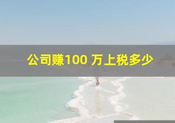 公司赚100 万上税多少